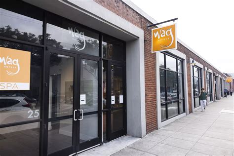 Dog bites, neglect, pest problems: Wag Hotels settles after lawsuit