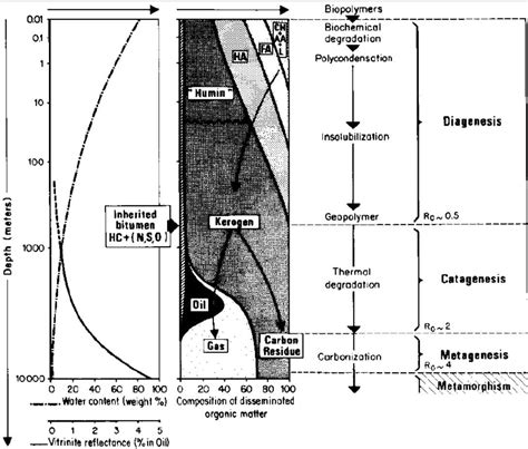 Petroleum 的图像结果
