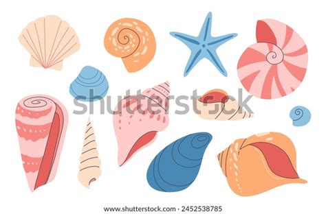 Shell 的图像结果