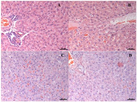 Nutrients | December 2016 - Browse Articles