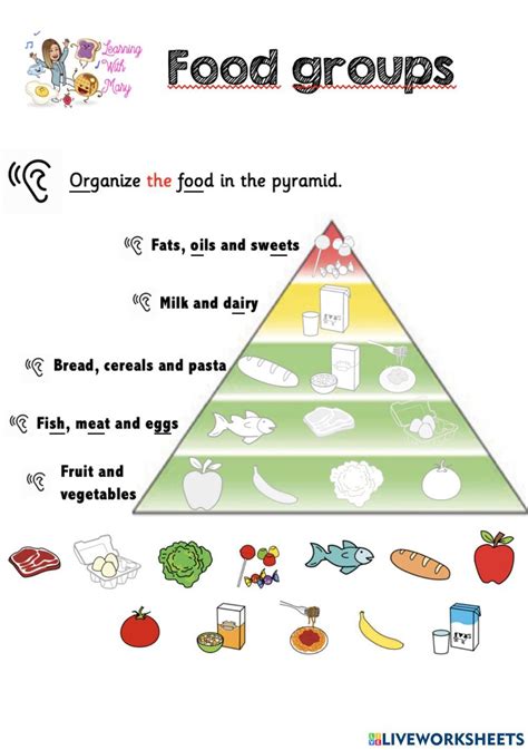 Image result for Class 2 Project Food Pyramid