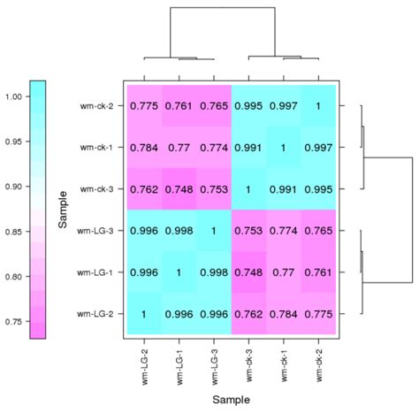 Transcriptomic–Proteomic Analysis Revealed the Regulatory Mechanism of ...