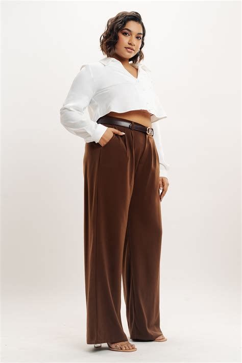 Brown Pleated Straight Fit Curve Korean Pants