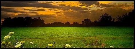 Image result for PowerShell Polynesia