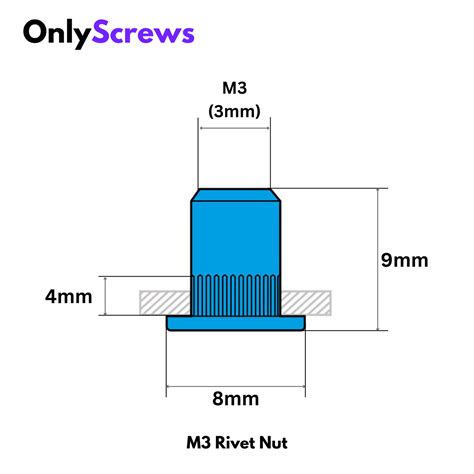 M3 Rivet/Insert Nut SS304 (Dia. 3mm) – OnlyScrews