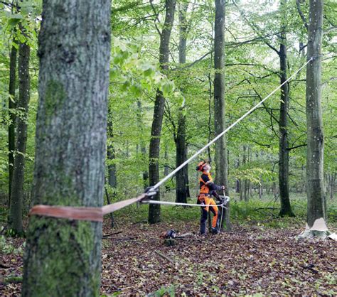 Image result for Tree Felling Tools Equipment