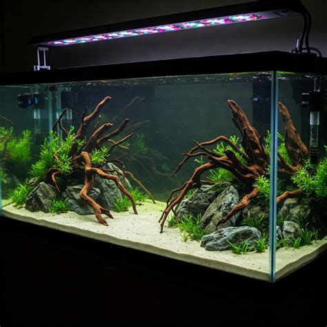 120 Gallon Fish Tank: 10 Incredible Benefits of Going Big with Your ...