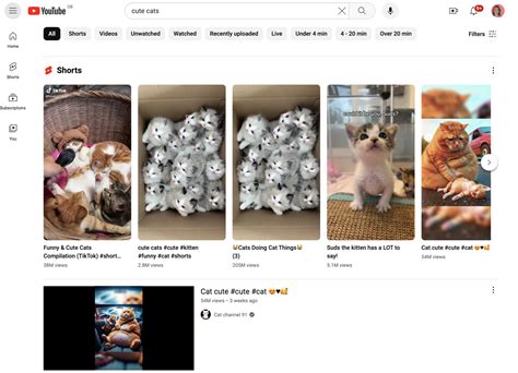 Image result for Video Search Engine with No Tracking