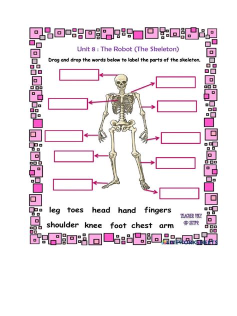 Image result for HyperWorks Skeleton PDF