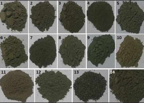 Identification of Orthosiphon stamineus from different ...
