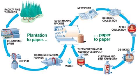 Image result for Paper Recycle Process