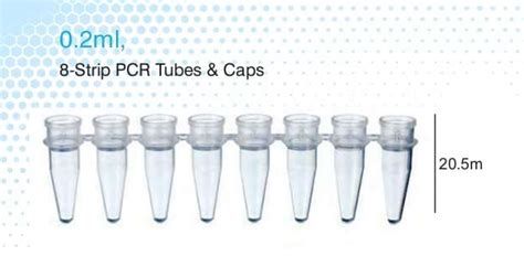 Buy 8-Strip, 0.2ml, Flat PCR Caps, 125 Strips. GEN-0208-FCP-PCR in ...