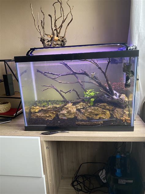 [FS] - State College, PA - $100 - 20 gallon high aquarium setup : AquaSwap