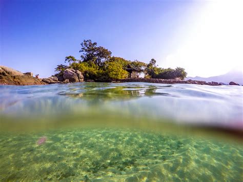 Beach 的图像结果