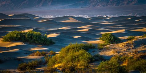 Death Valley National Park, Usa, Parks, Sand, California, Hd Wallpaper | Rare Gallery - wildlife in death valley national park