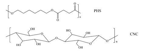 Fully Biodegradable Poly(hexamethylene succinate)/Cellulose ...
