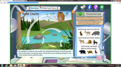 Ecology 的图像结果