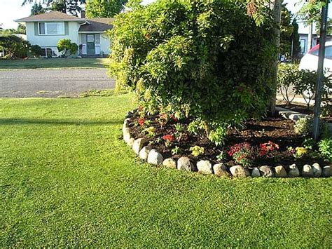 Rock Bed Border 的图像结果