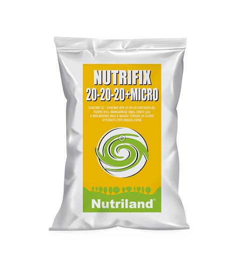 AMBIL SEKARANG