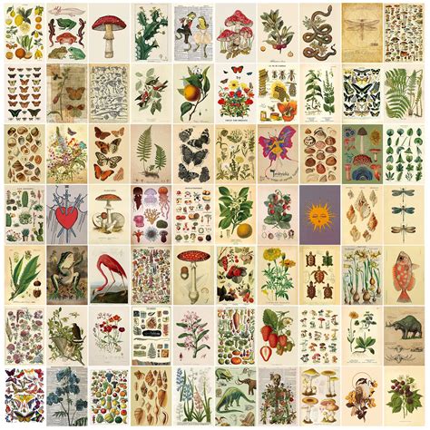 Buy Wall Collage Kit,Wall Collage Kit Aesthetic Pictures,Collage Kit ...