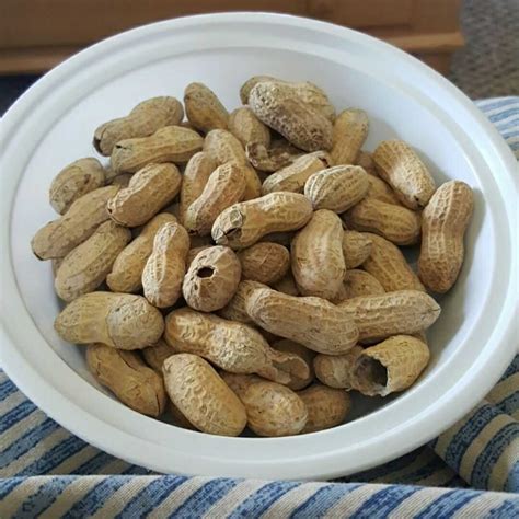 1 Unshelled Peanut