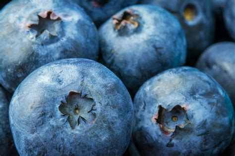 How Long Do Fresh Blueberries Last in the Fridge? - Chef's Resource