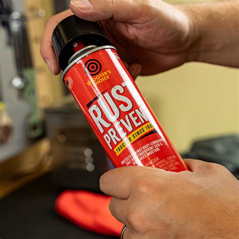 Rust Prevention Spray Review 的图像结果