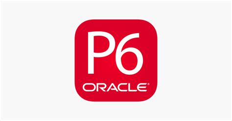 Image result for P6 Pro Oracle