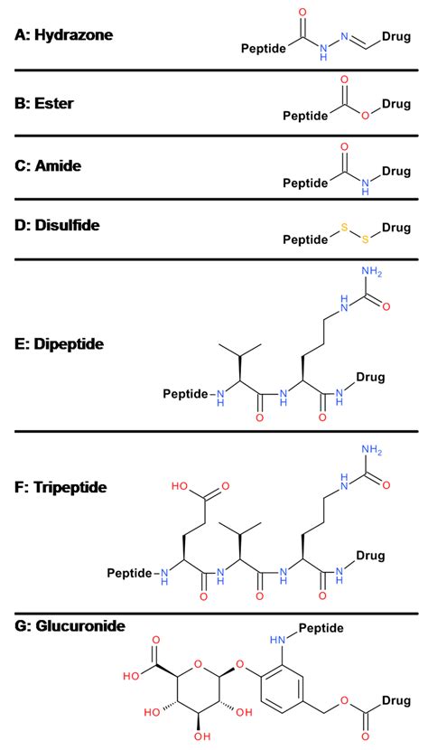 Image result for What Is Polypeptide