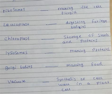 please answer my question - Brainly.in