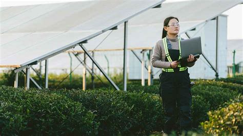 Image result for Environmental Engineering Graduate Programs