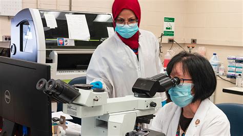 Lab Services & Blood Draw | UConn Health