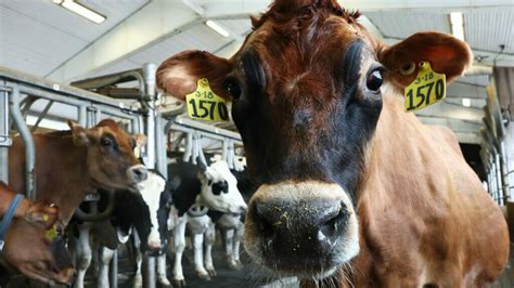 (dot) Gov: The Department Of Agriculture And The Environmental ...