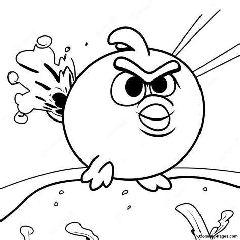 Image result for Angry Bird Exploding