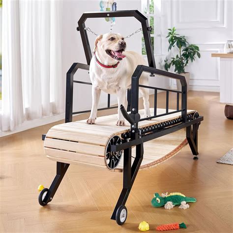 Albott Dog Treadmill for Large and Medium Dogs with India | Ubuy
