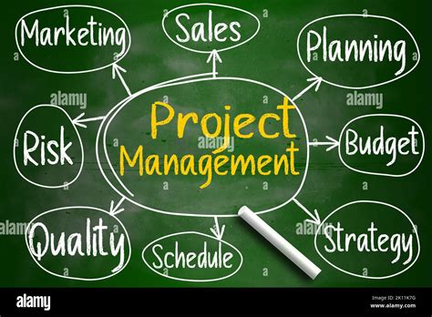 Image result for Project Management Mind Map
