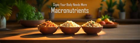 Signs Your Body Needs More Macronutrients: How to Recognize and Respon ...