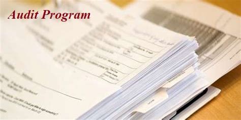 Audit Program 的图像结果