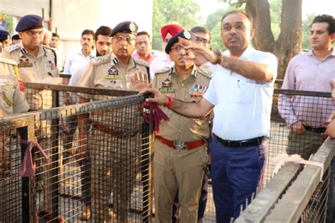 Div Com/ADGP direct to ensure seamless provision of all facilities ...