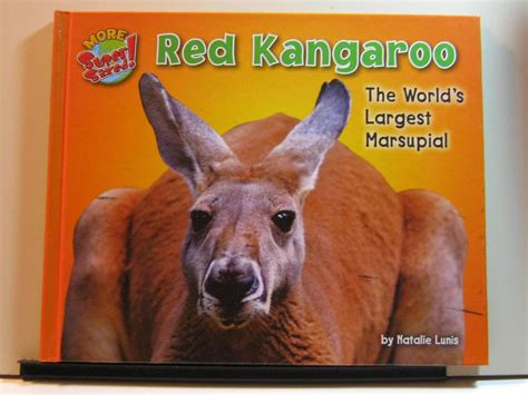Buy Red Kangaroo: The World's Largest Marsupial (More Supersized!) Book ...