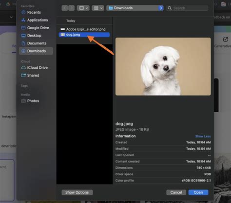 Image result for Photoshop Express App Tutorials Remove Background