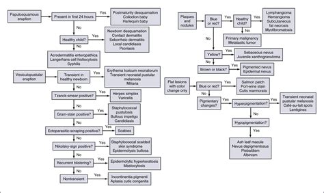 Image result for Rash Algorithm