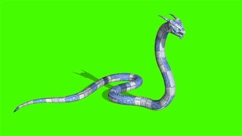 Image result for Python Snake Attack