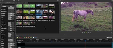 Image result for OpenShot Review