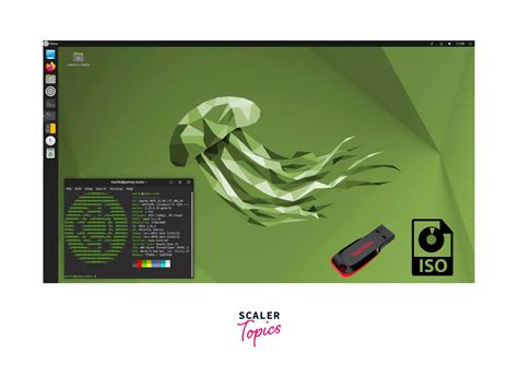 Image result for Linux USB ISO