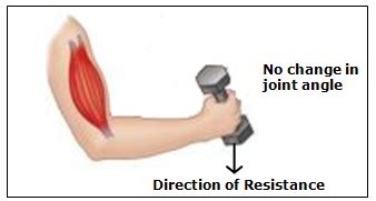 Static Contraction Workout Routine 的图像结果