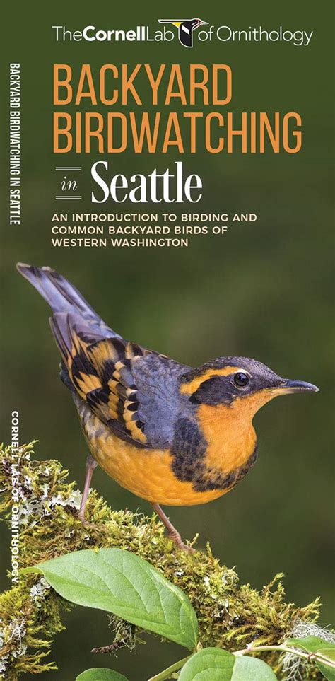 Buy Backyard Birdwatching in Seattle: An Introduction to Birding and ...