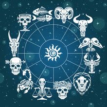 Image result for Lab File Look Like