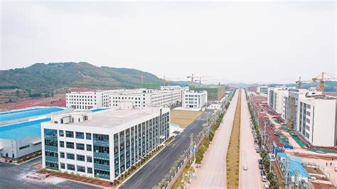 湖南郴州文体中心建设项目钢结构施工完成-郴州新闻网