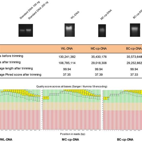 Image result for CWC DNA